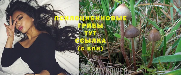 таблы Алексин