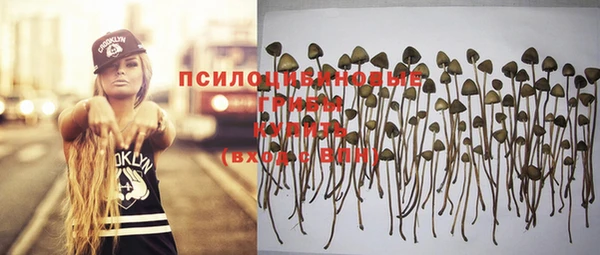 MESCALINE Алзамай
