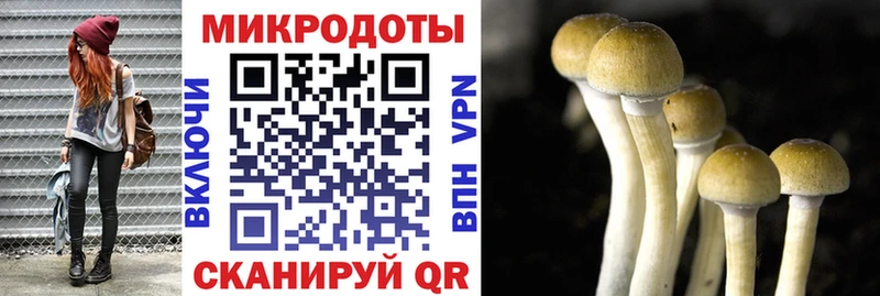 Галлюциногенные грибы MAGIC MUSHROOMS  где купить   Буй 