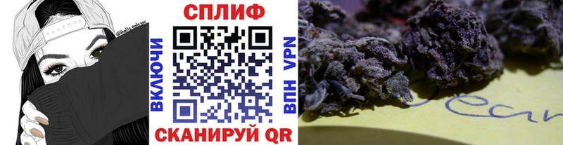 Бошки марихуана гибрид  Буй 